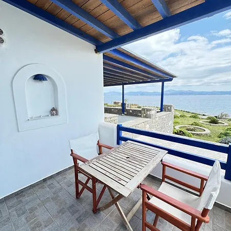 Dawn Paros Logaras